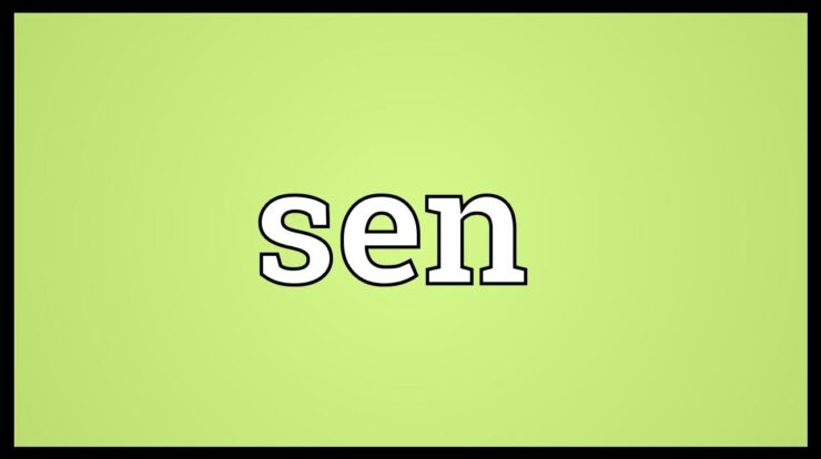 Sen definition